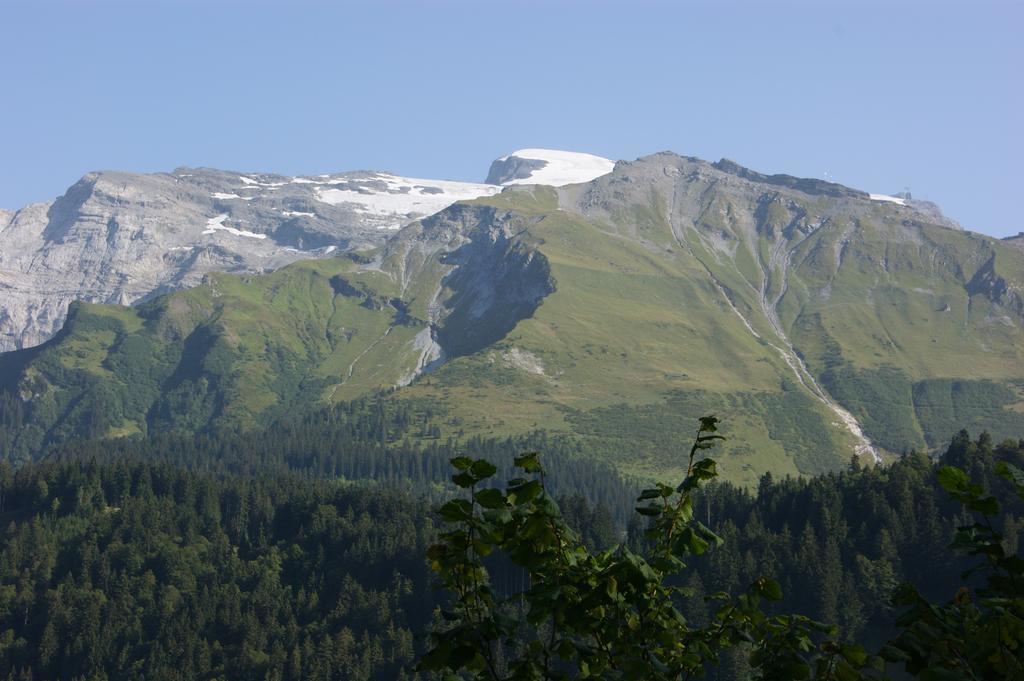 Hotel Schweizerhof 엥겔베르그 외부 사진