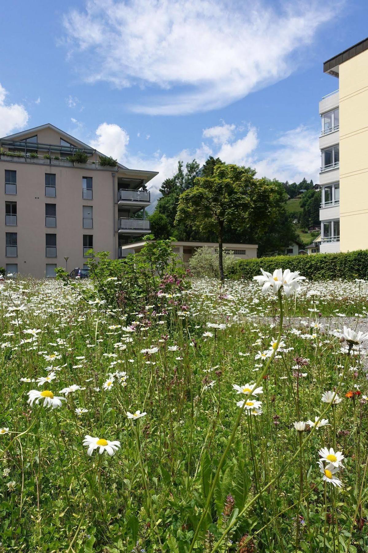 Hotel Schweizerhof 엥겔베르그 외부 사진